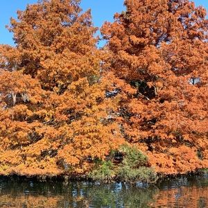 Meet your Posher, Serenity